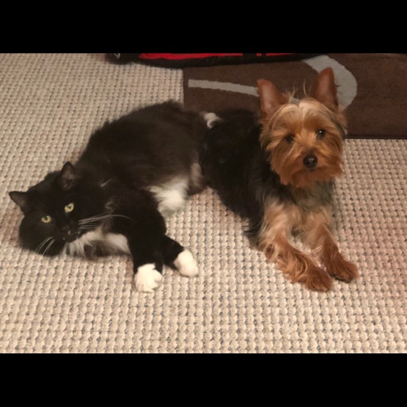 Meet your Posher, Maria Poshmark Ambassador - Picture 4 of 8